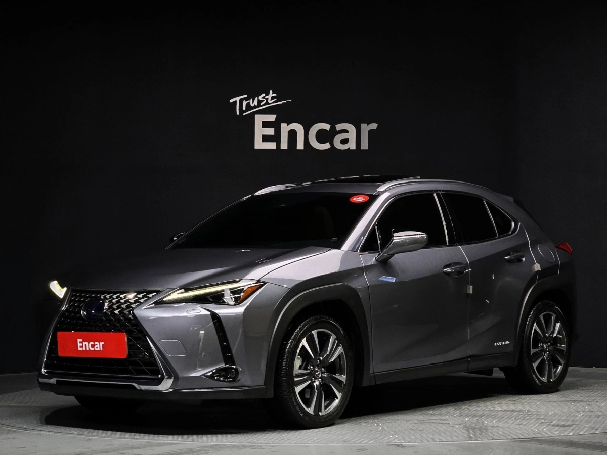 LEXUS UX250H