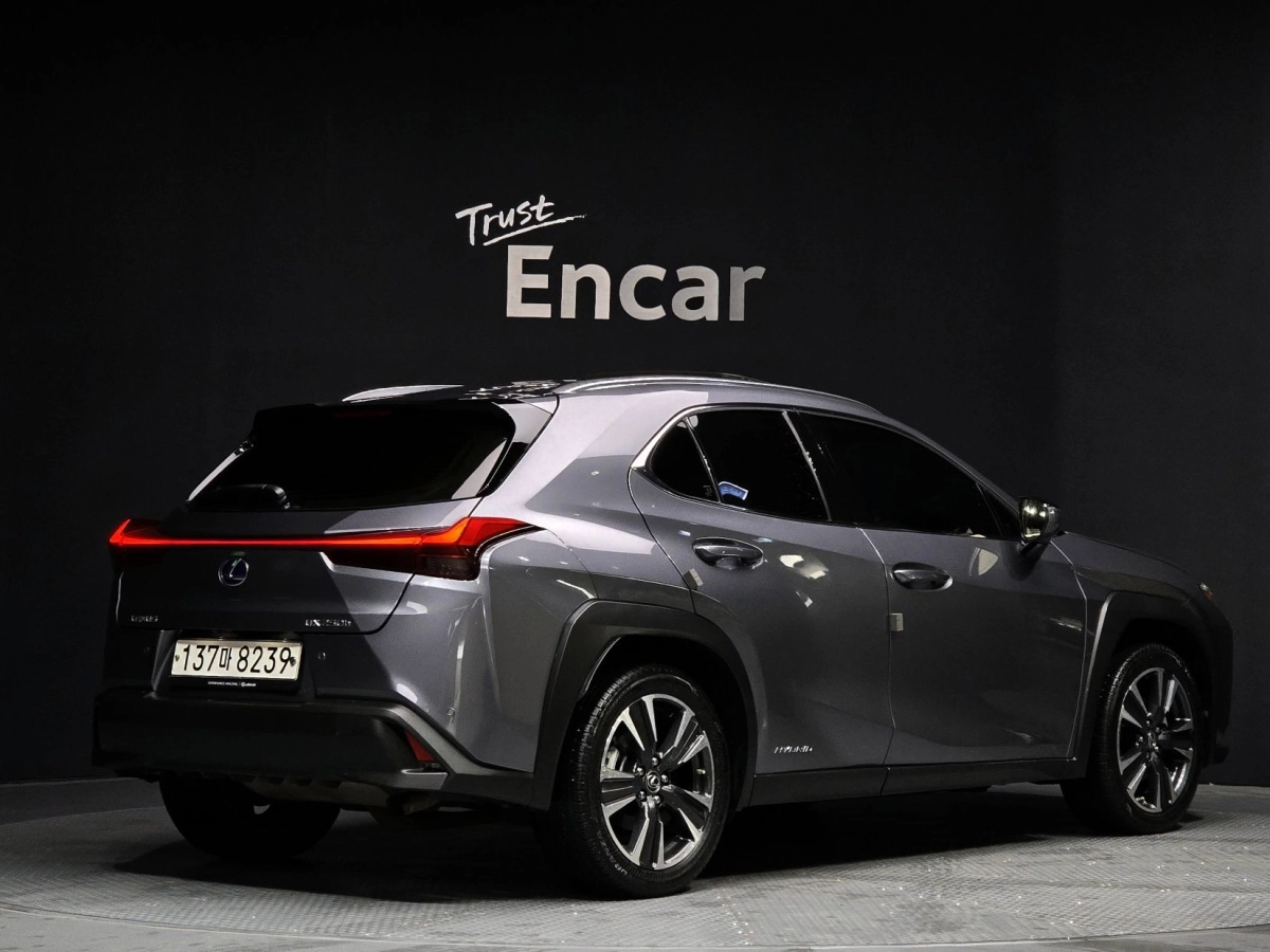 LEXUS UX250H