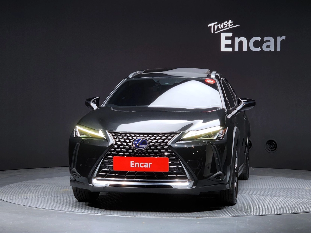 LEXUS UX250H