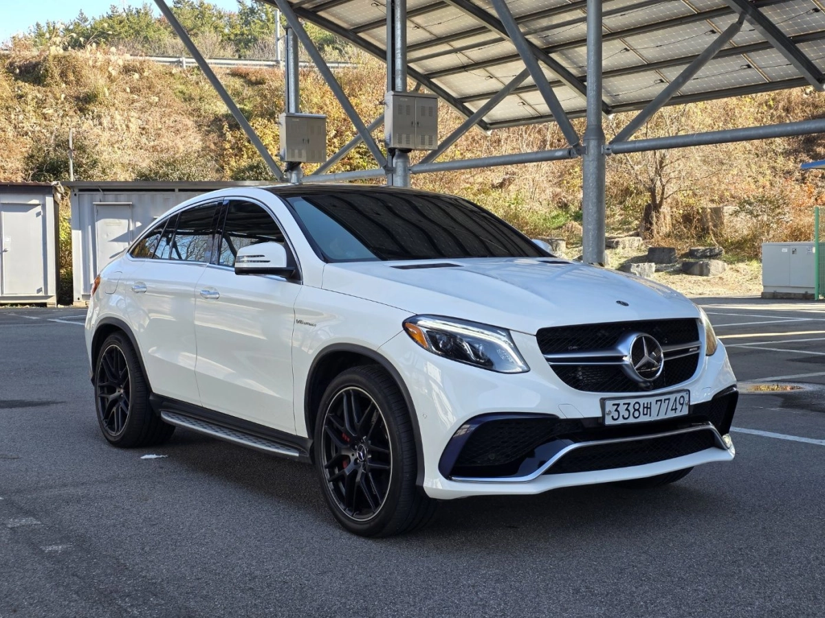 MERCEDES BENZ GLE-CLASS W166  2019