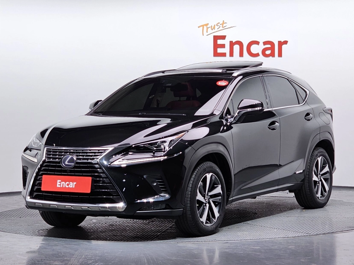 LEXUS NX300H  2020