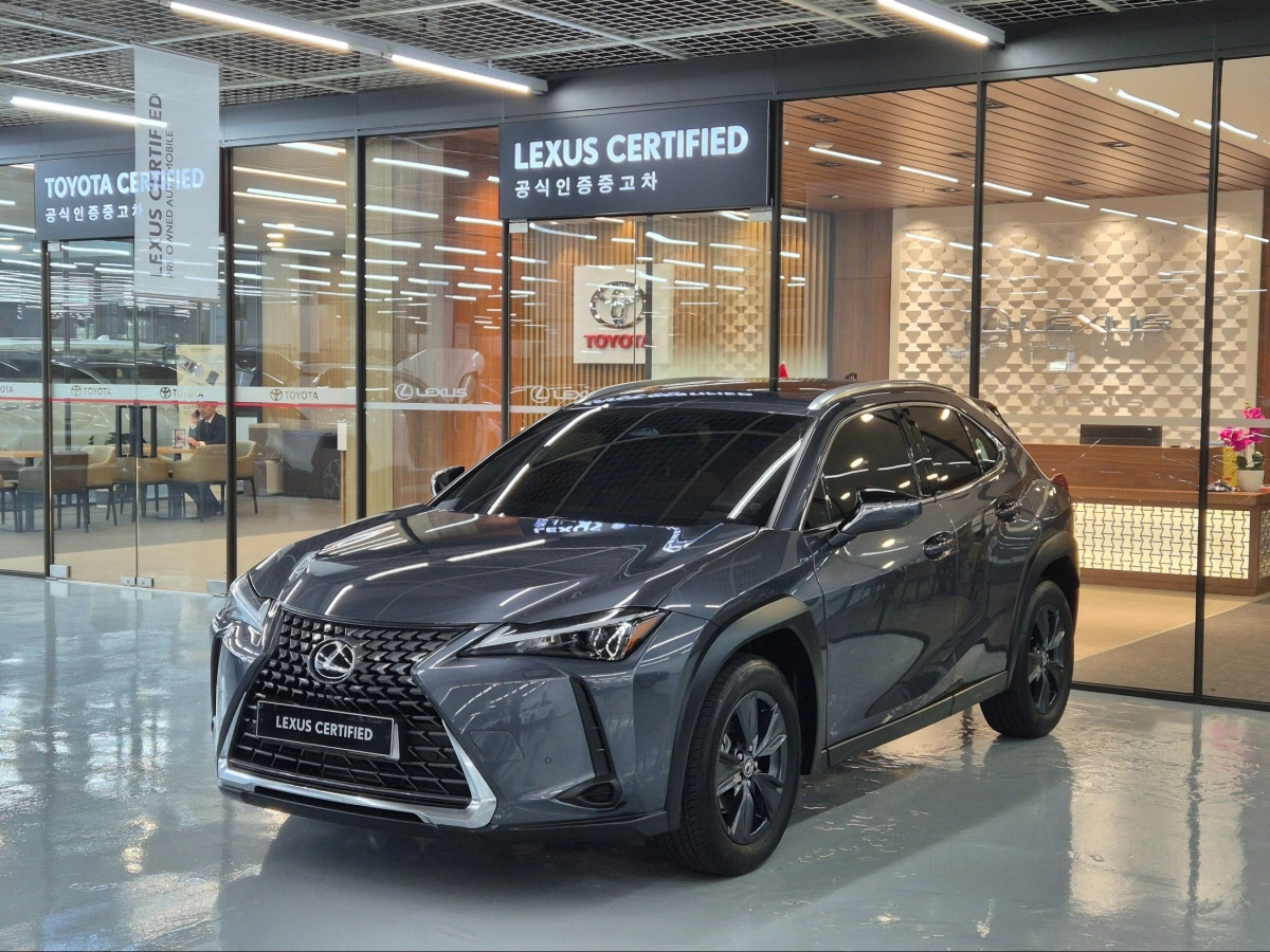 LEXUS UX300H  2024