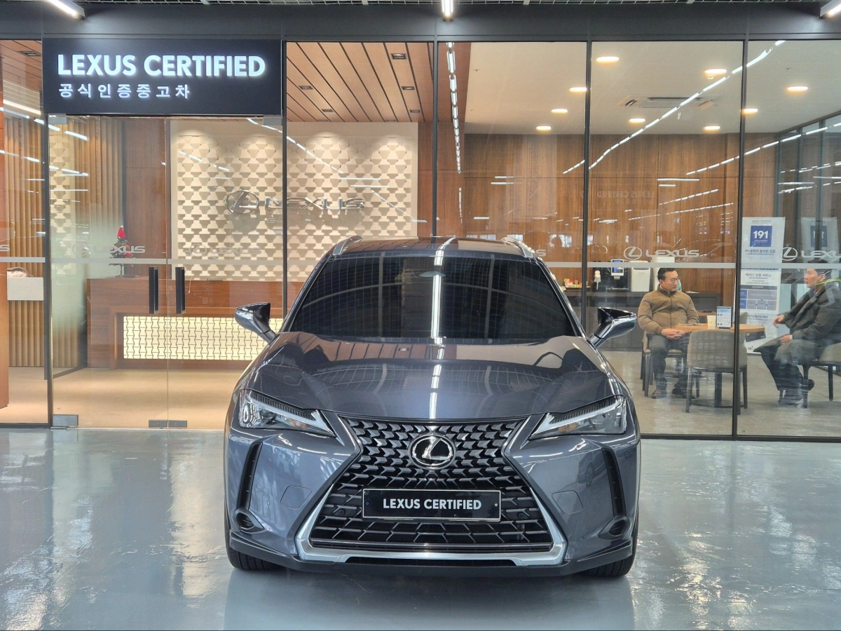 LEXUS UX300H