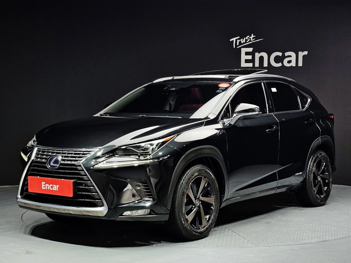 LEXUS NX300H  2020
