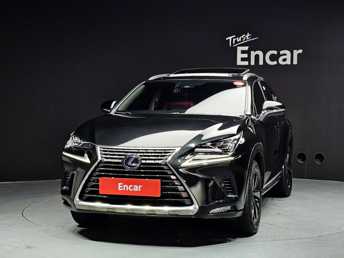 LEXUS NX300H