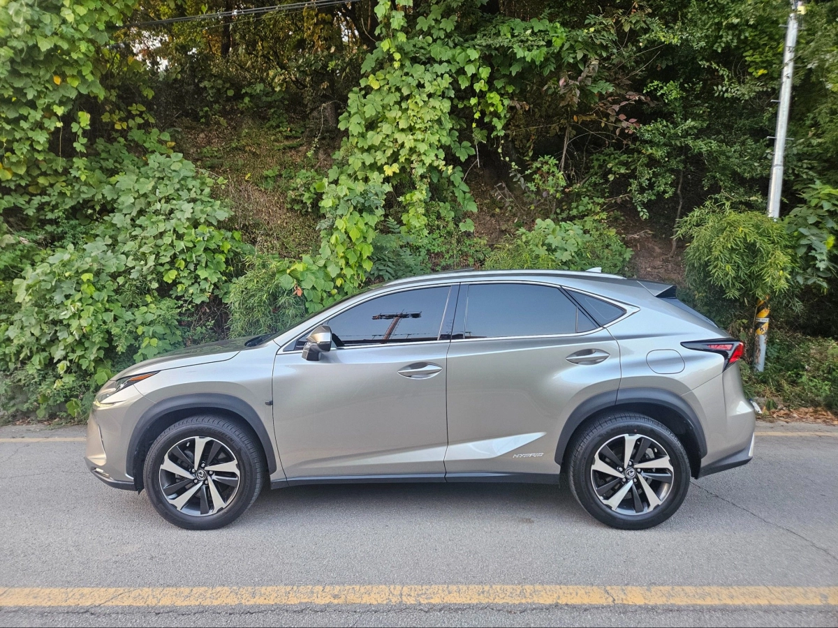 LEXUS NX300H