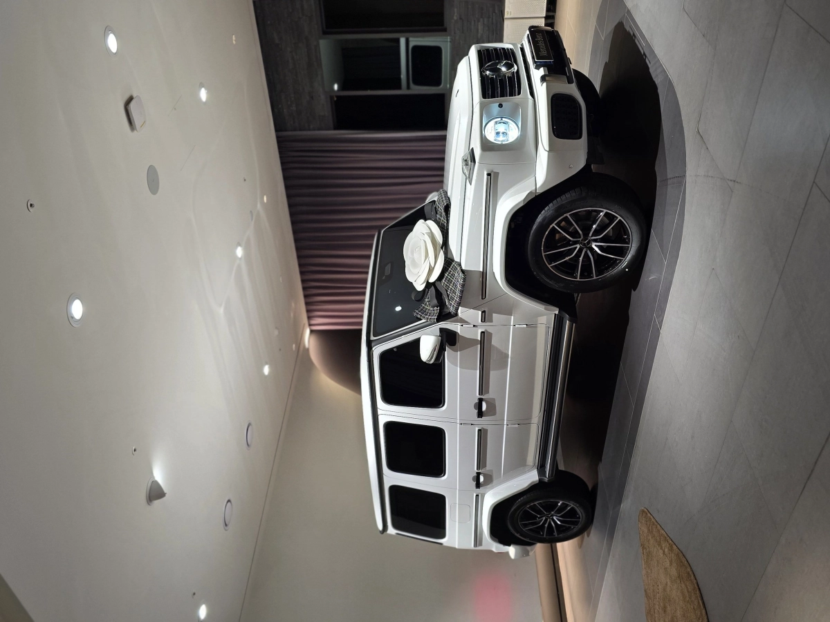 MERCEDES BENZ G-CLASS W465