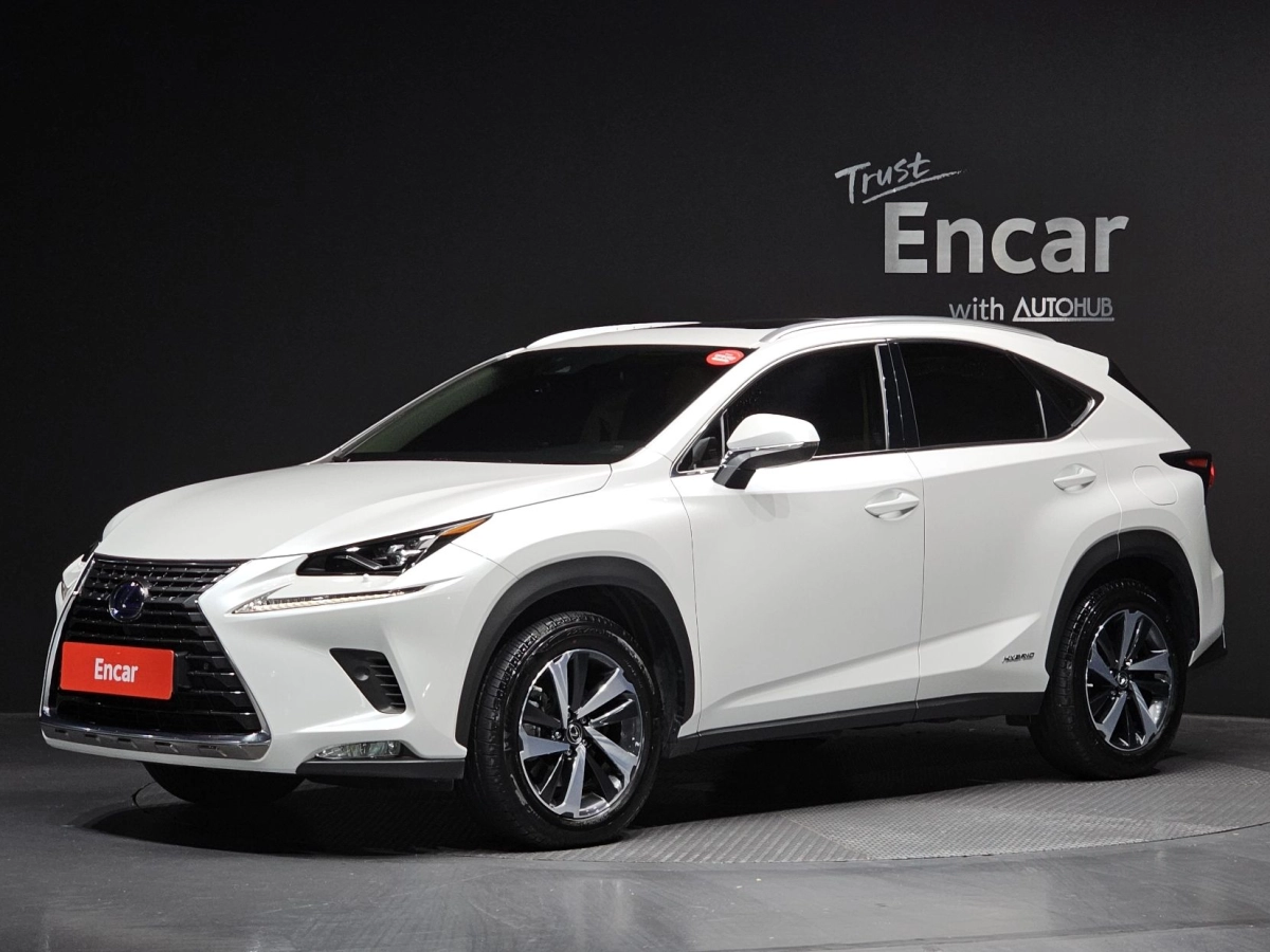 LEXUS NX300H  2020