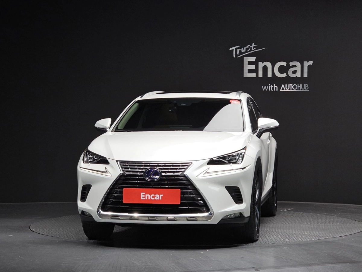 LEXUS NX300H