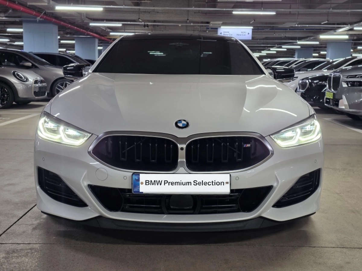 BMW 8-SERIES G15