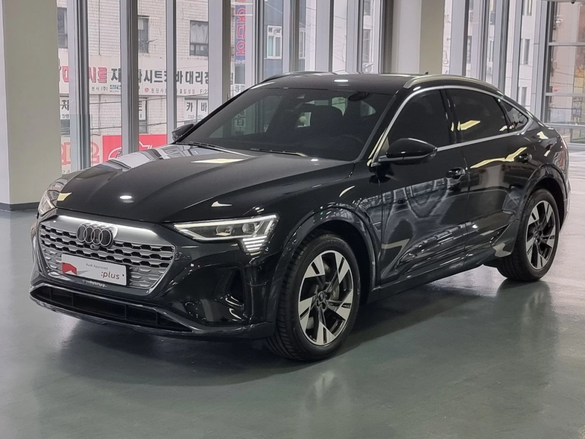 AUDI Q8 E-TRON GE  2024
