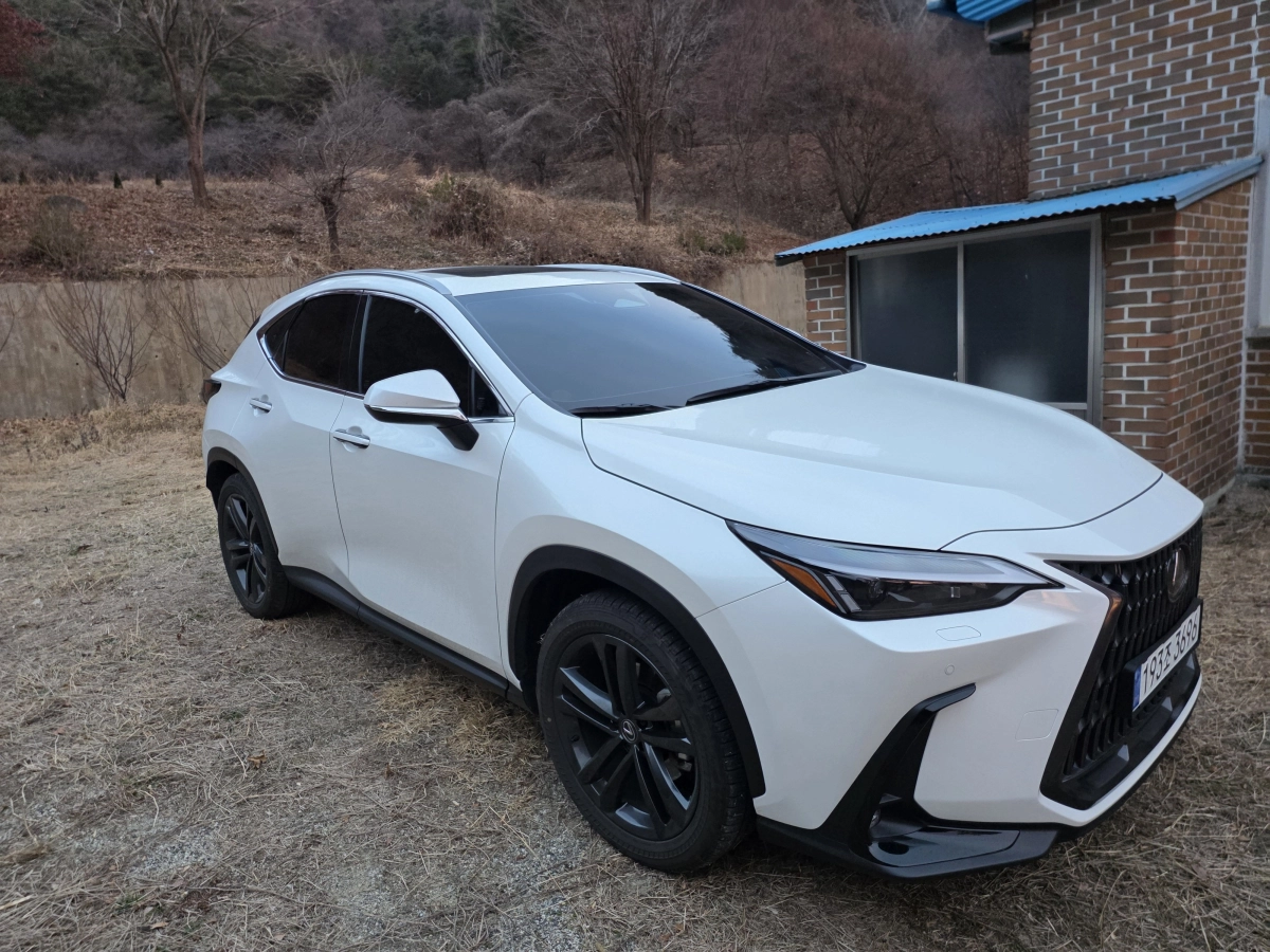 LEXUS NX350H