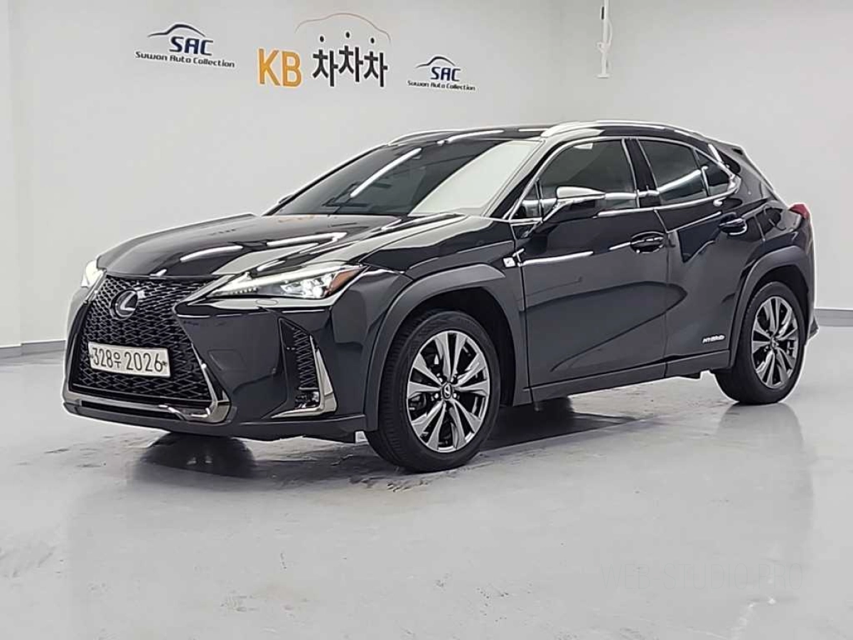 LEXUS UX250H  2020