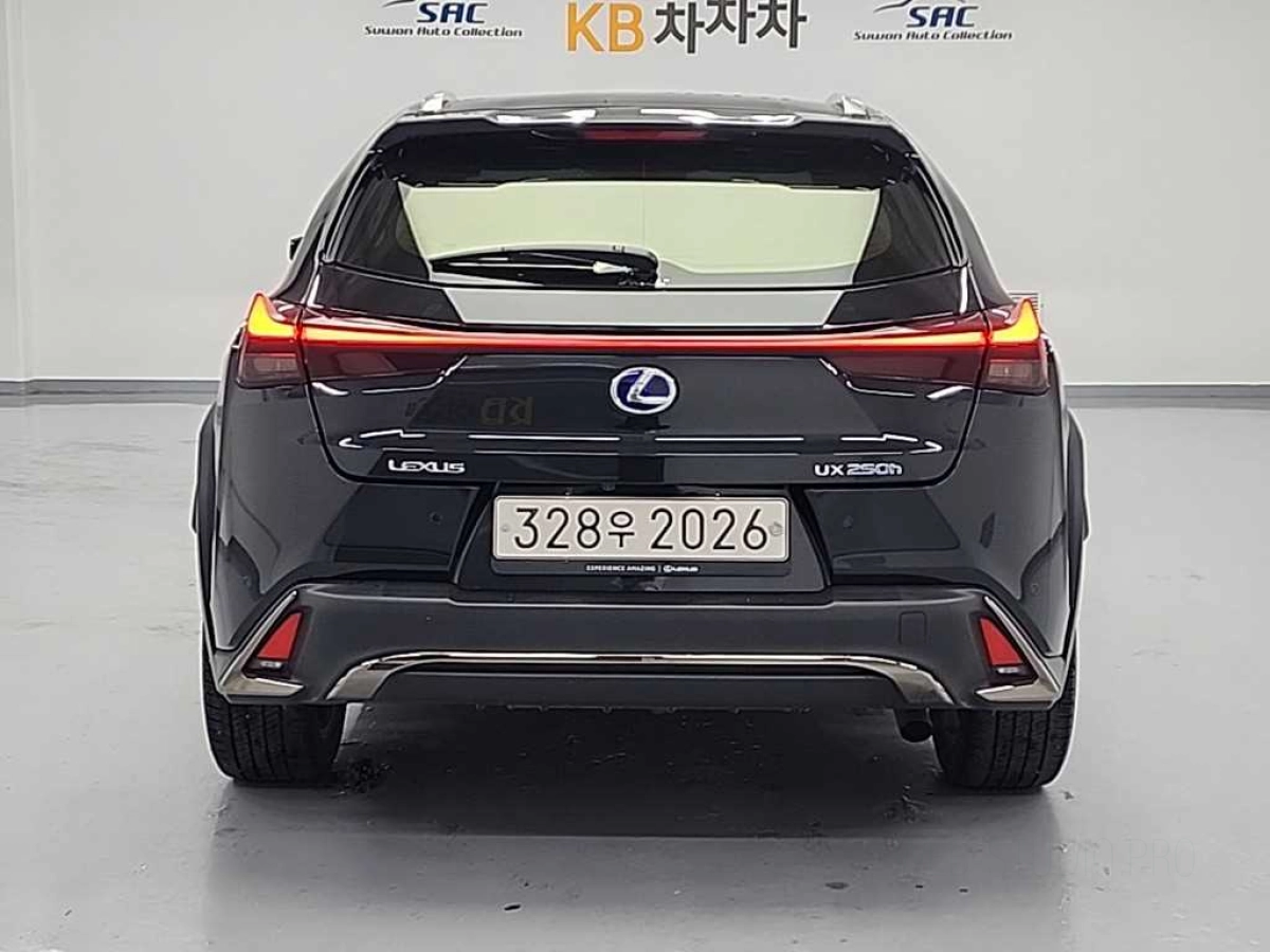 LEXUS UX250H