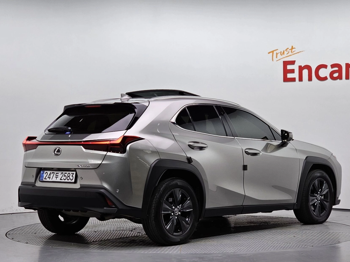 LEXUS UX300H