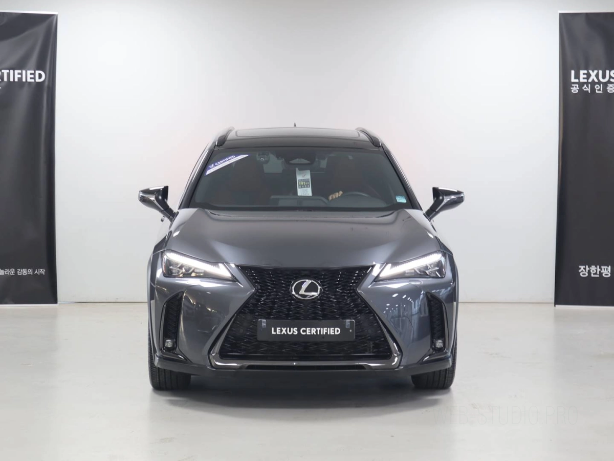 LEXUS UX300H