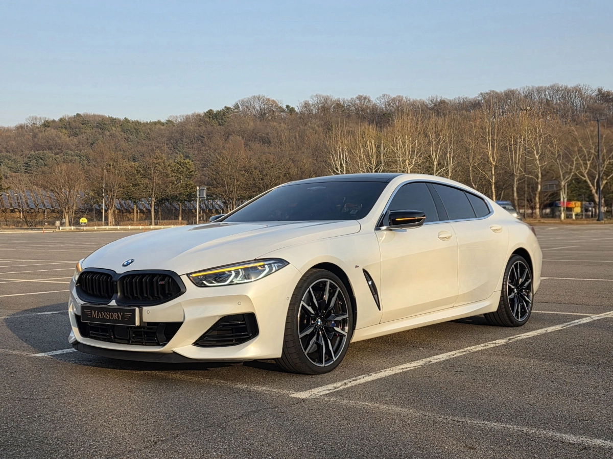 BMW 8-SERIES G15  2024