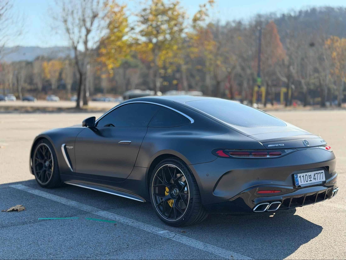 MERCEDES BENZ AMG GT C192
