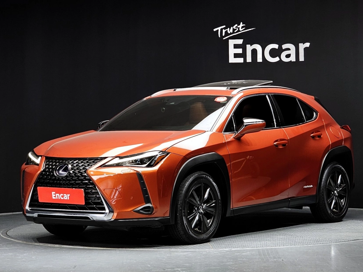 LEXUS UX250H  2019