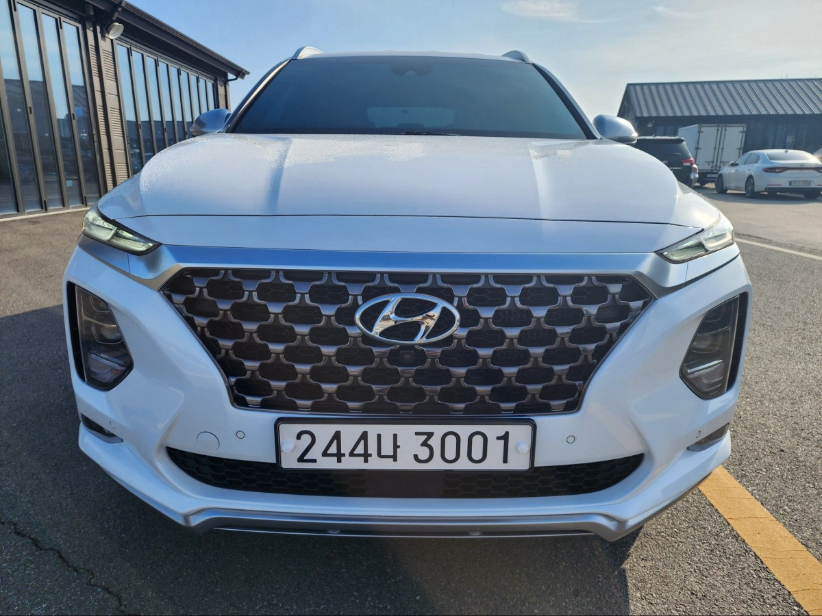 HYUNDAI SANTAFE TM