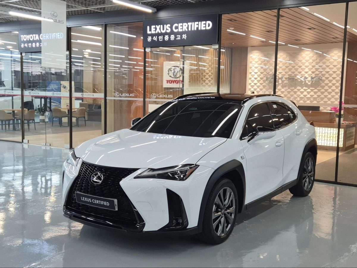 LEXUS UX300H  2024