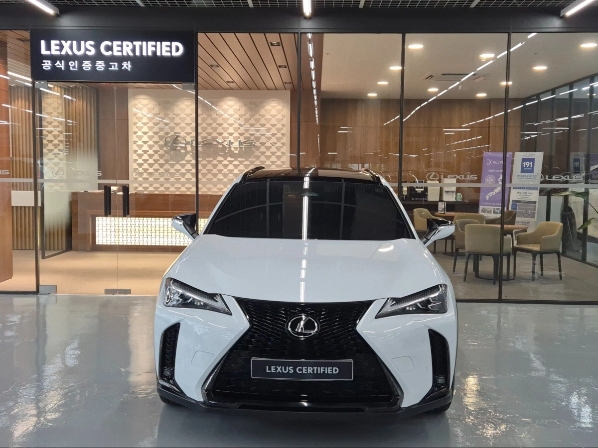 LEXUS UX300H