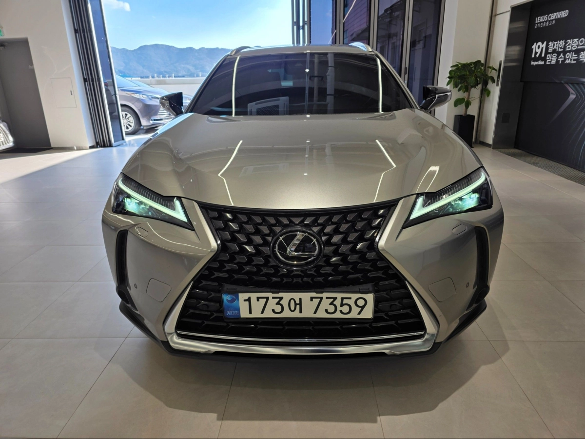 LEXUS UX250H