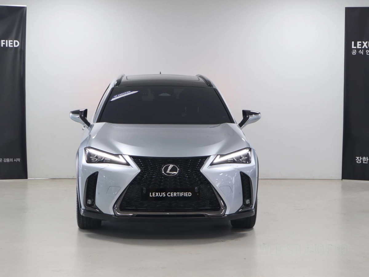 LEXUS UX300H