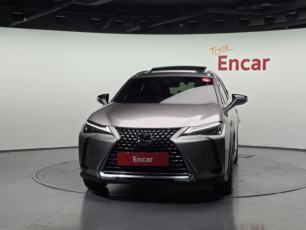 LEXUS UX250H