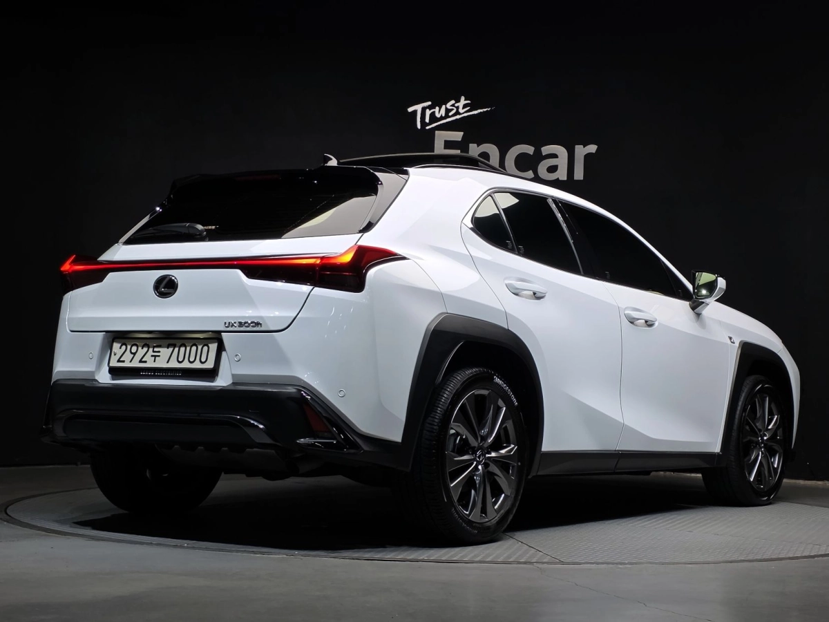 LEXUS UX300H