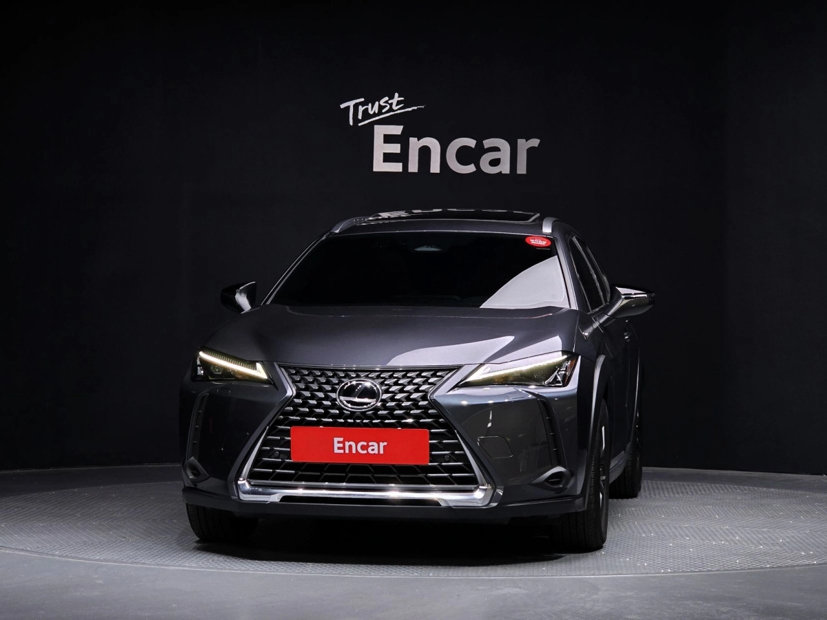LEXUS UX300H