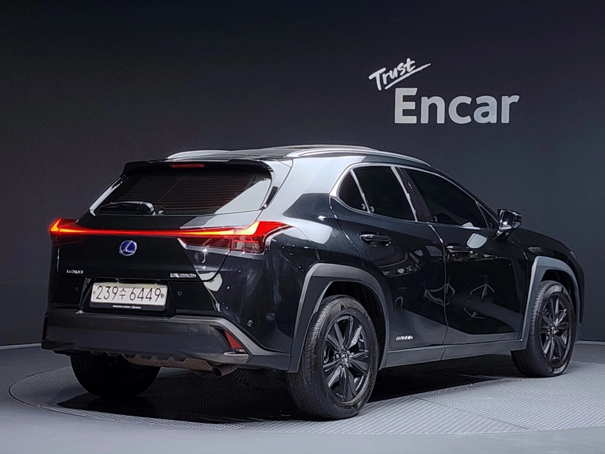 LEXUS UX250H