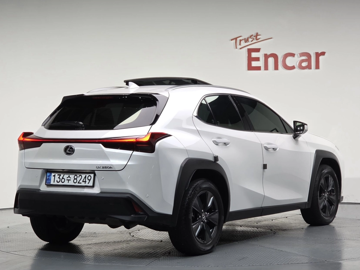 LEXUS UX250H  2023
