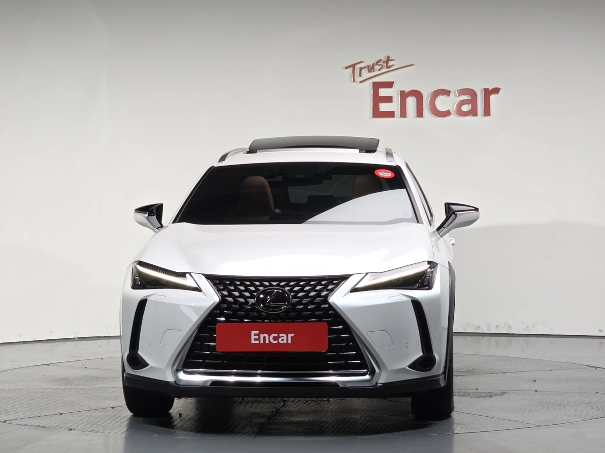 LEXUS UX250H