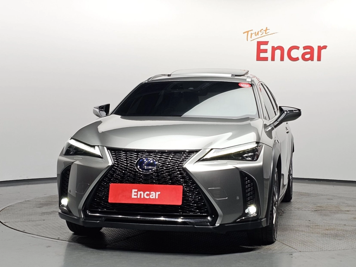 LEXUS UX250H