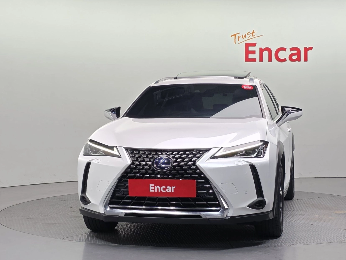 LEXUS UX250H