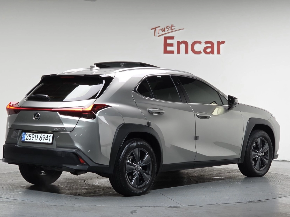 LEXUS UX250H  2024