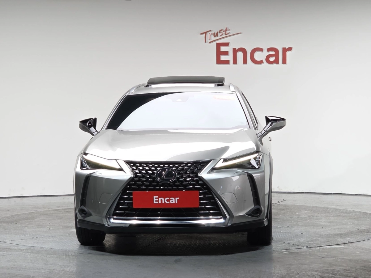 LEXUS UX250H