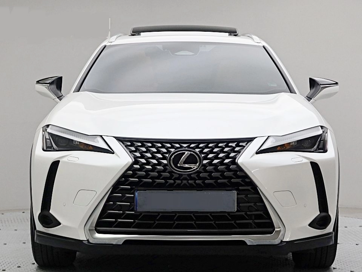 LEXUS UX300H