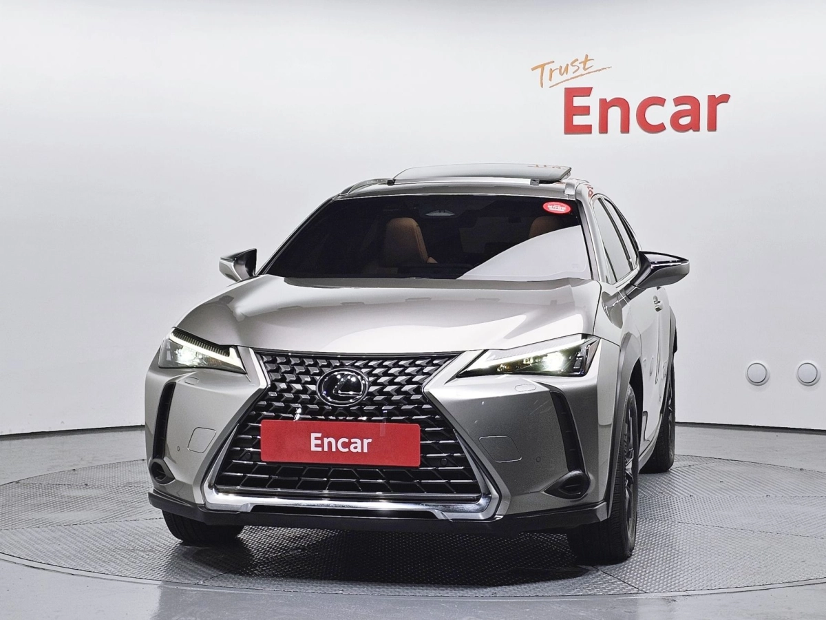 LEXUS UX300H