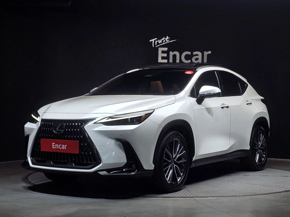 LEXUS NX350H  2024