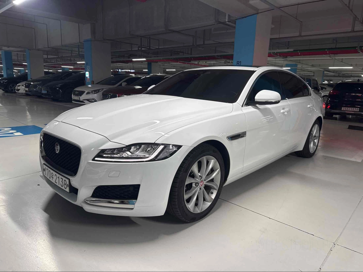 JAGUAR XF X260  2019