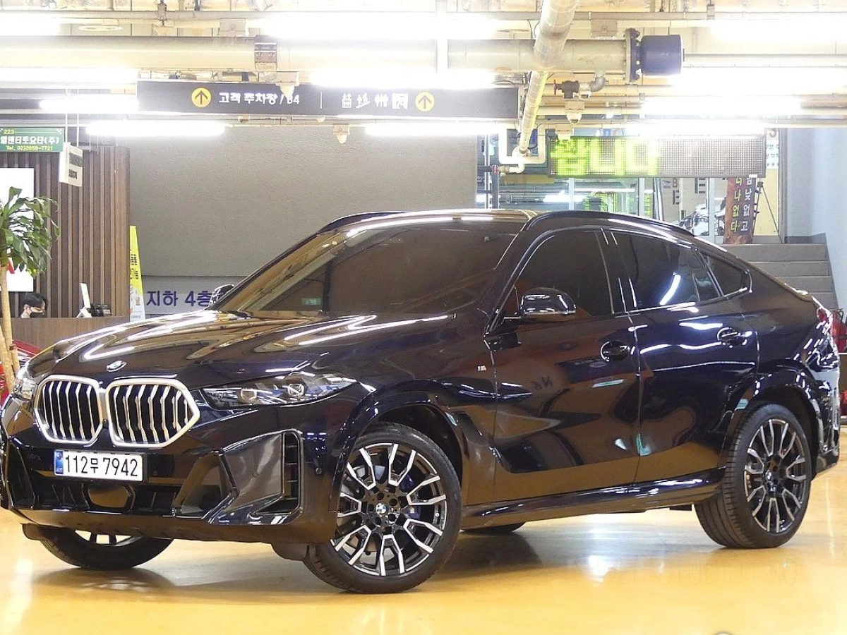 BMW X6 G06