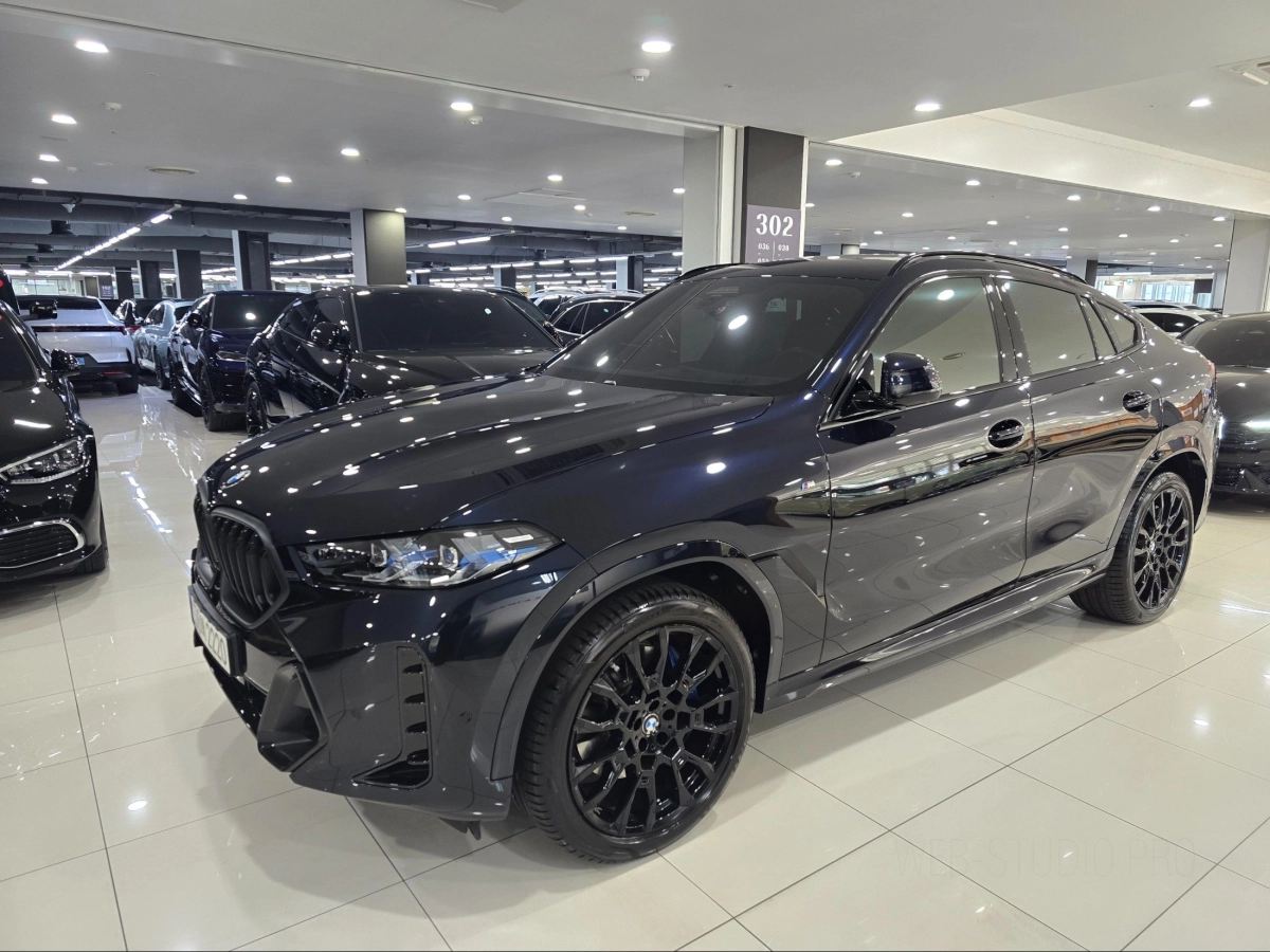 BMW X6 G06