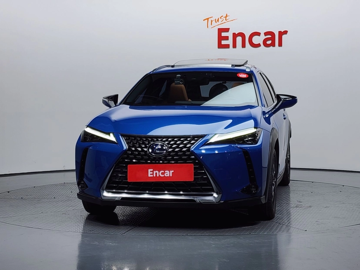 LEXUS UX250H