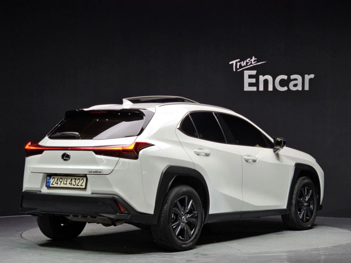LEXUS UX250H