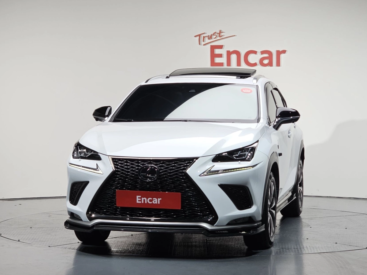 LEXUS NX300