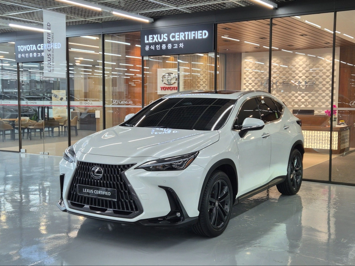 LEXUS NX350H  2025