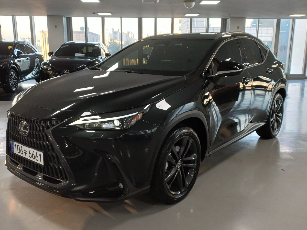 LEXUS NX350H  2024