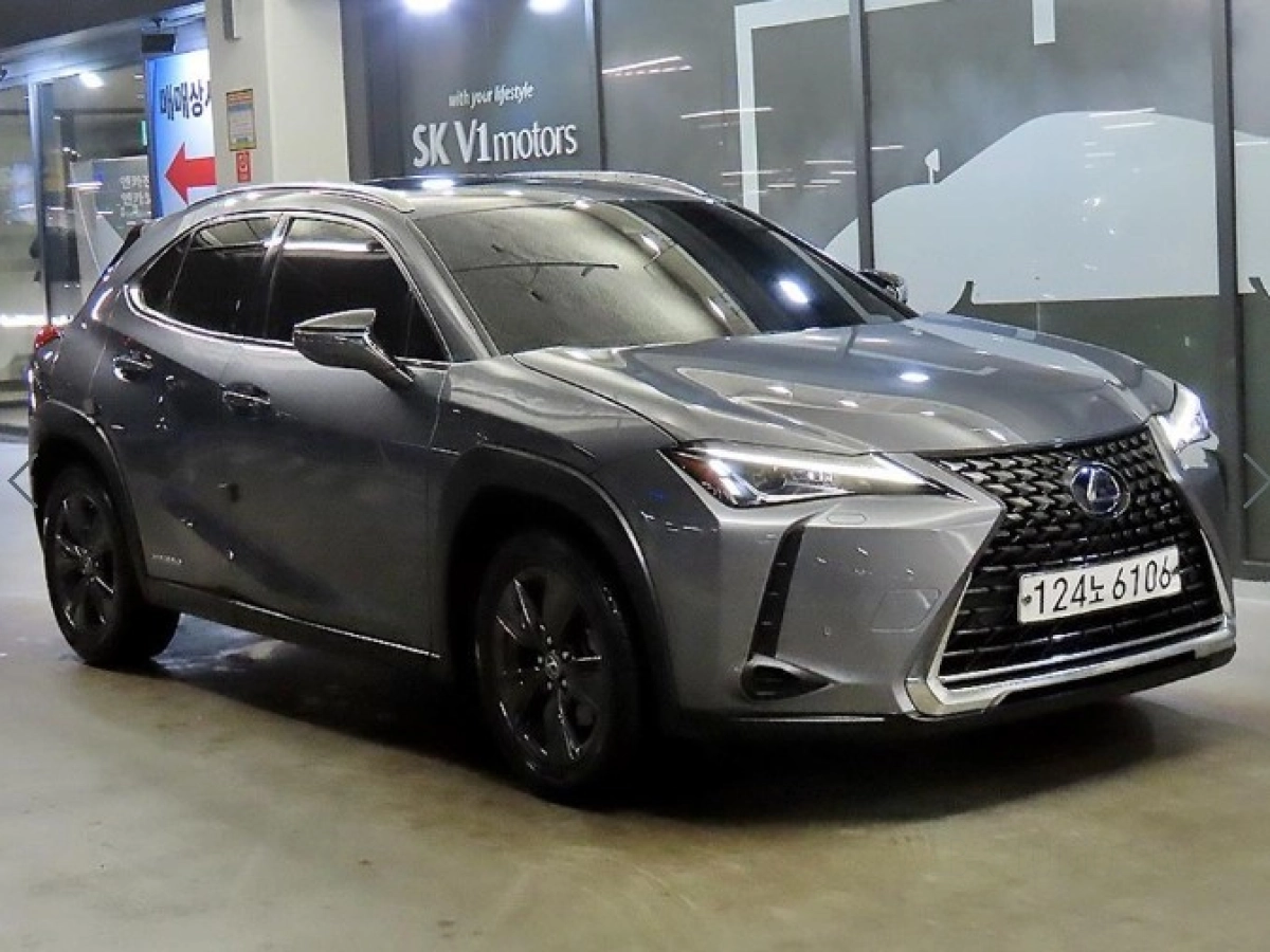LEXUS UX250H  2019
